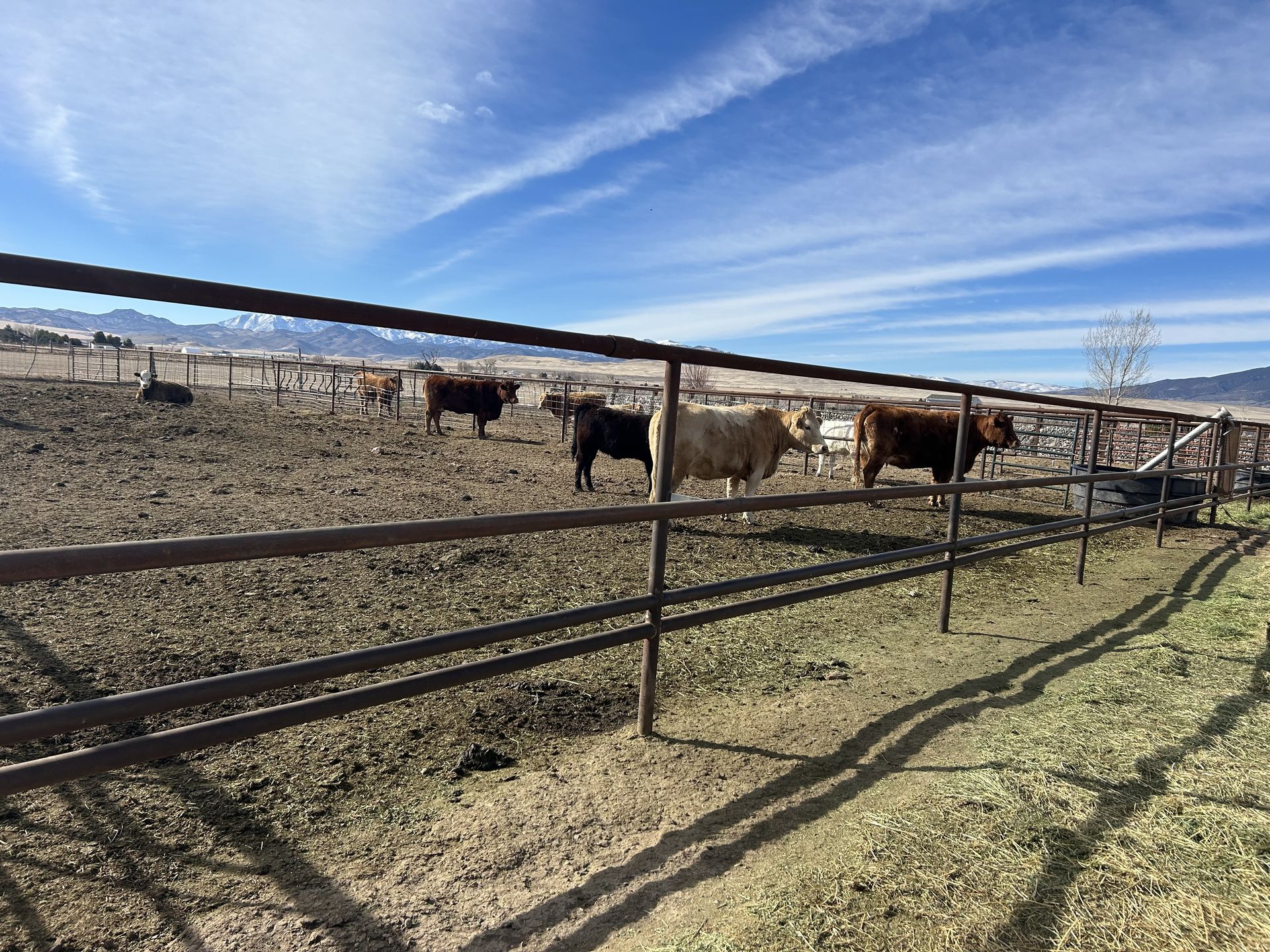 Drill Pipe Fencing | Blue Collar Services